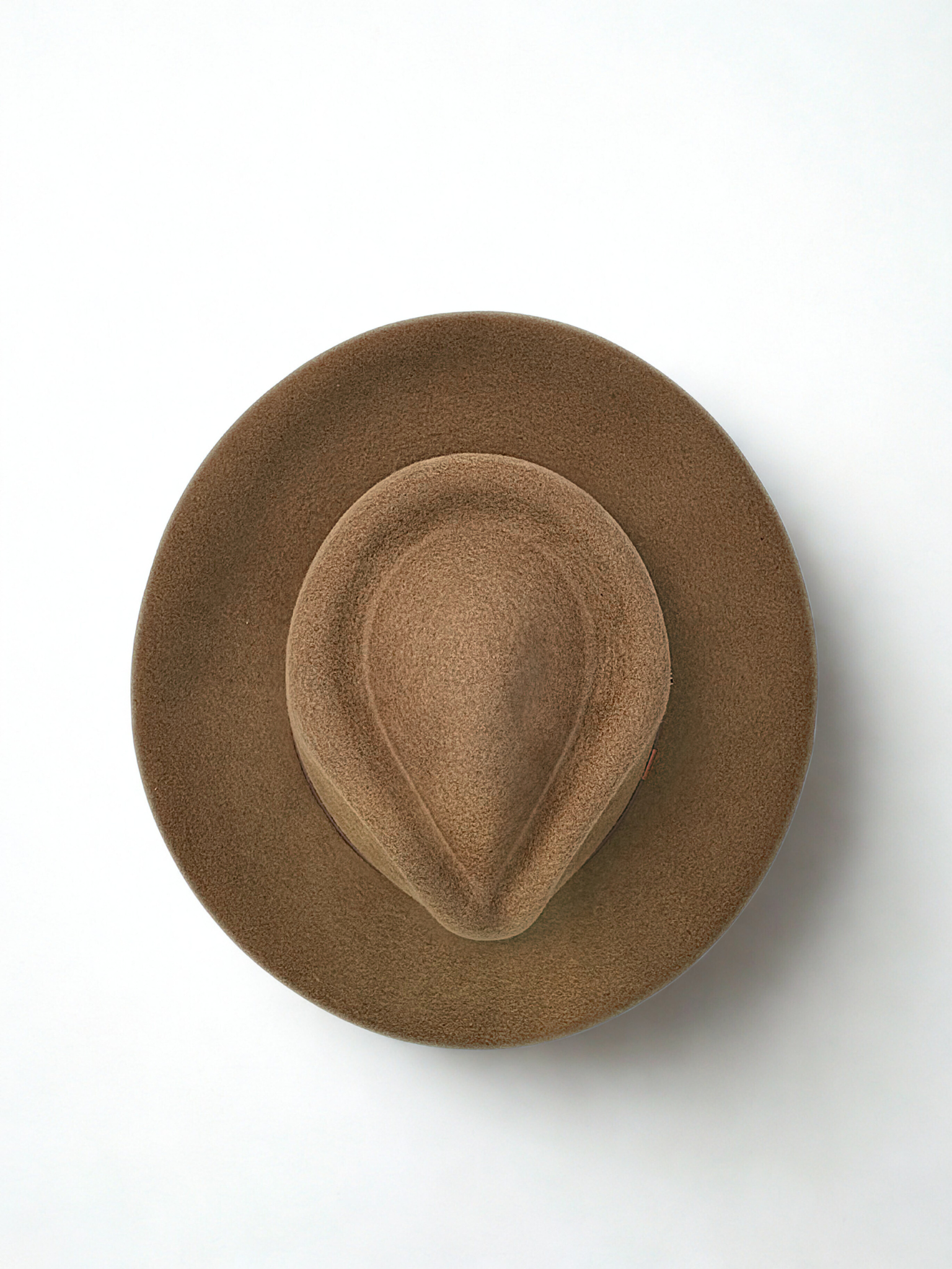 Australiano de Paño Punta Diamante