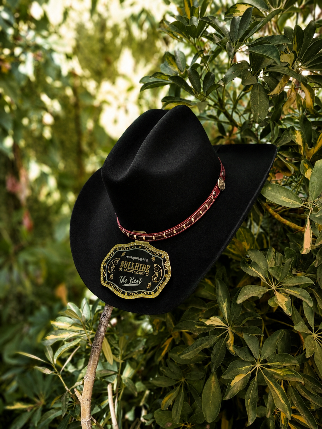 Texano Houston
